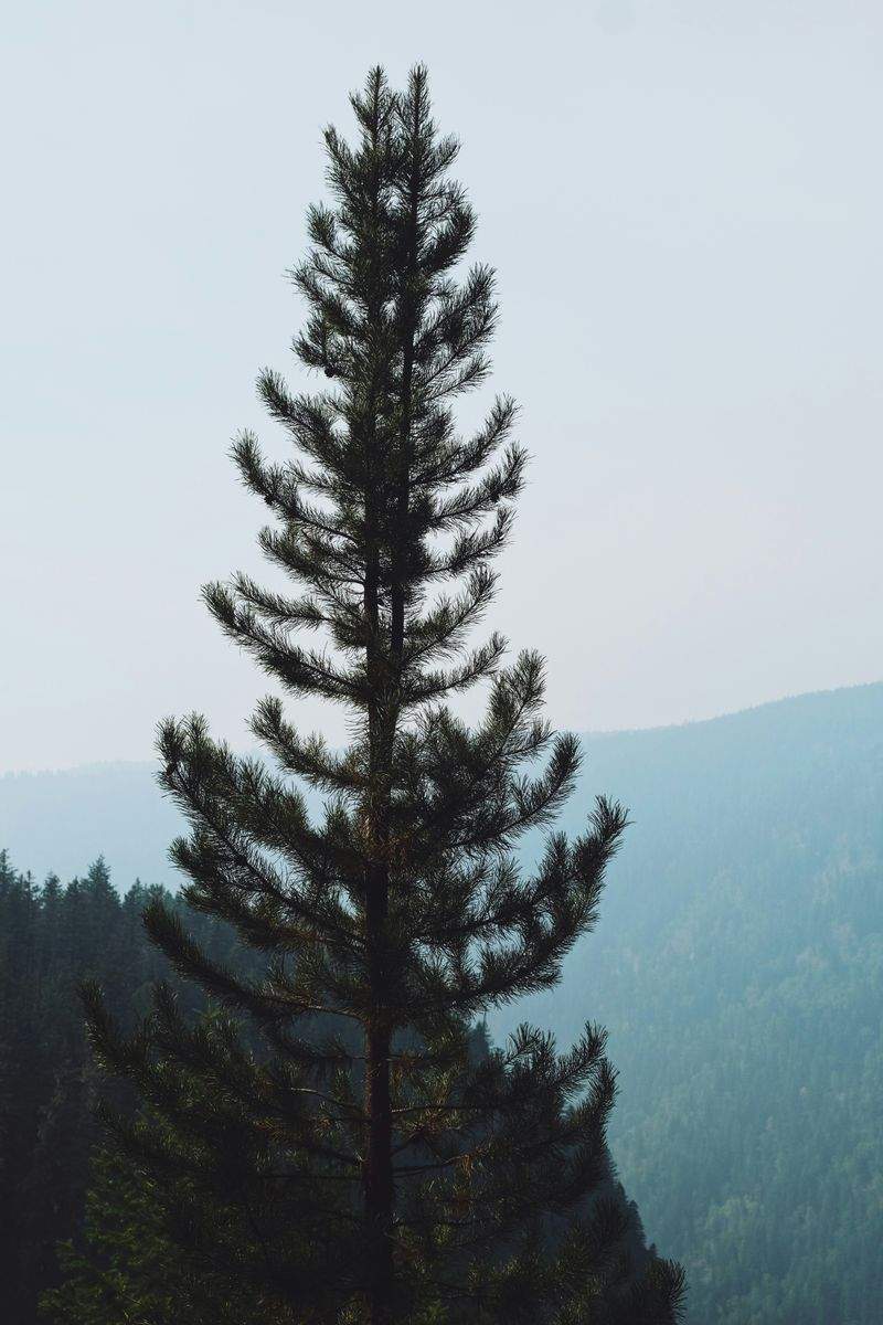 ØkoLiv Danmark - Image 7